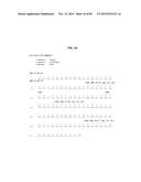 ANTI-SOD1 ANTIBODIES AND USES THEREOF diagram and image