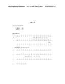 ANTI-SOD1 ANTIBODIES AND USES THEREOF diagram and image