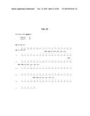 ANTI-SOD1 ANTIBODIES AND USES THEREOF diagram and image