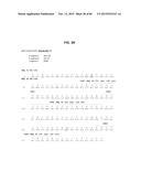 ANTI-SOD1 ANTIBODIES AND USES THEREOF diagram and image