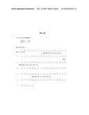 ANTI-SOD1 ANTIBODIES AND USES THEREOF diagram and image