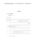 ANTI-SOD1 ANTIBODIES AND USES THEREOF diagram and image