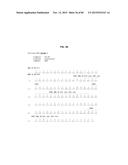 ANTI-SOD1 ANTIBODIES AND USES THEREOF diagram and image