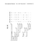 ANTI-SOD1 ANTIBODIES AND USES THEREOF diagram and image