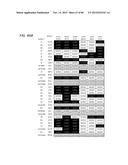 ANTI-SOD1 ANTIBODIES AND USES THEREOF diagram and image