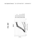 ANTI-SOD1 ANTIBODIES AND USES THEREOF diagram and image