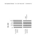 ANTI-SOD1 ANTIBODIES AND USES THEREOF diagram and image