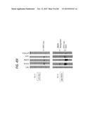 ANTI-SOD1 ANTIBODIES AND USES THEREOF diagram and image