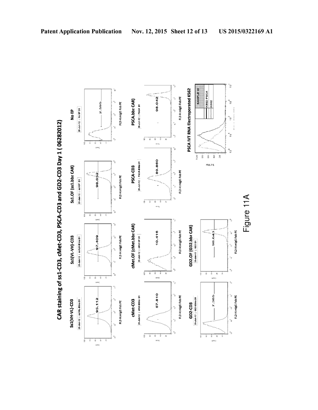 Enhancing Activity of CAR T Cells by Co-Introducing a Bispecific Antibody - diagram, schematic, and image 13