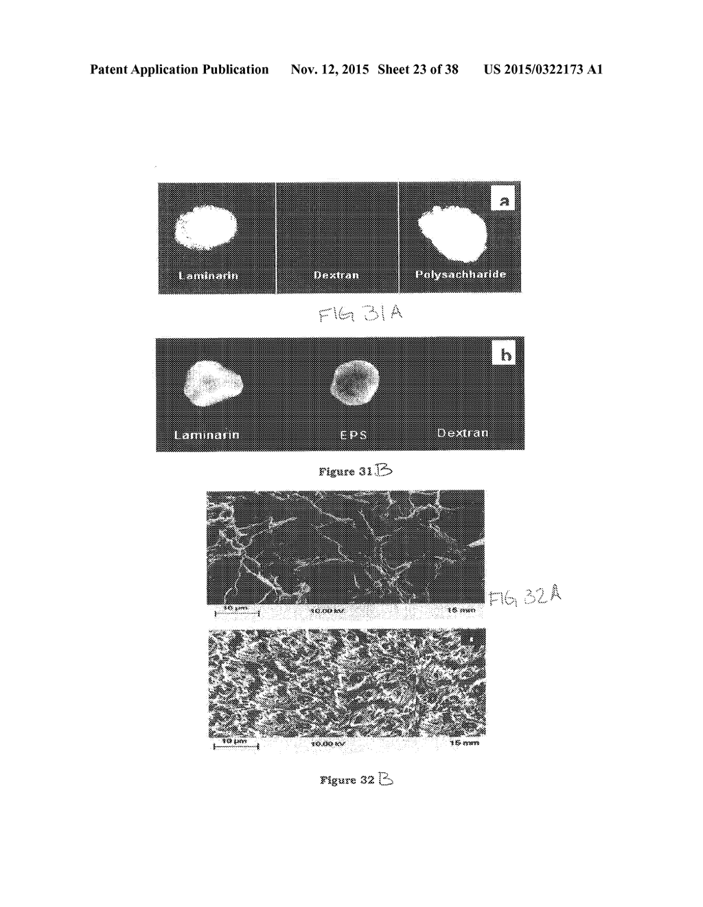 PROCESS FOR THE PREPARATION OF POLYMERIC BIOSURFACTANTS - diagram, schematic, and image 24