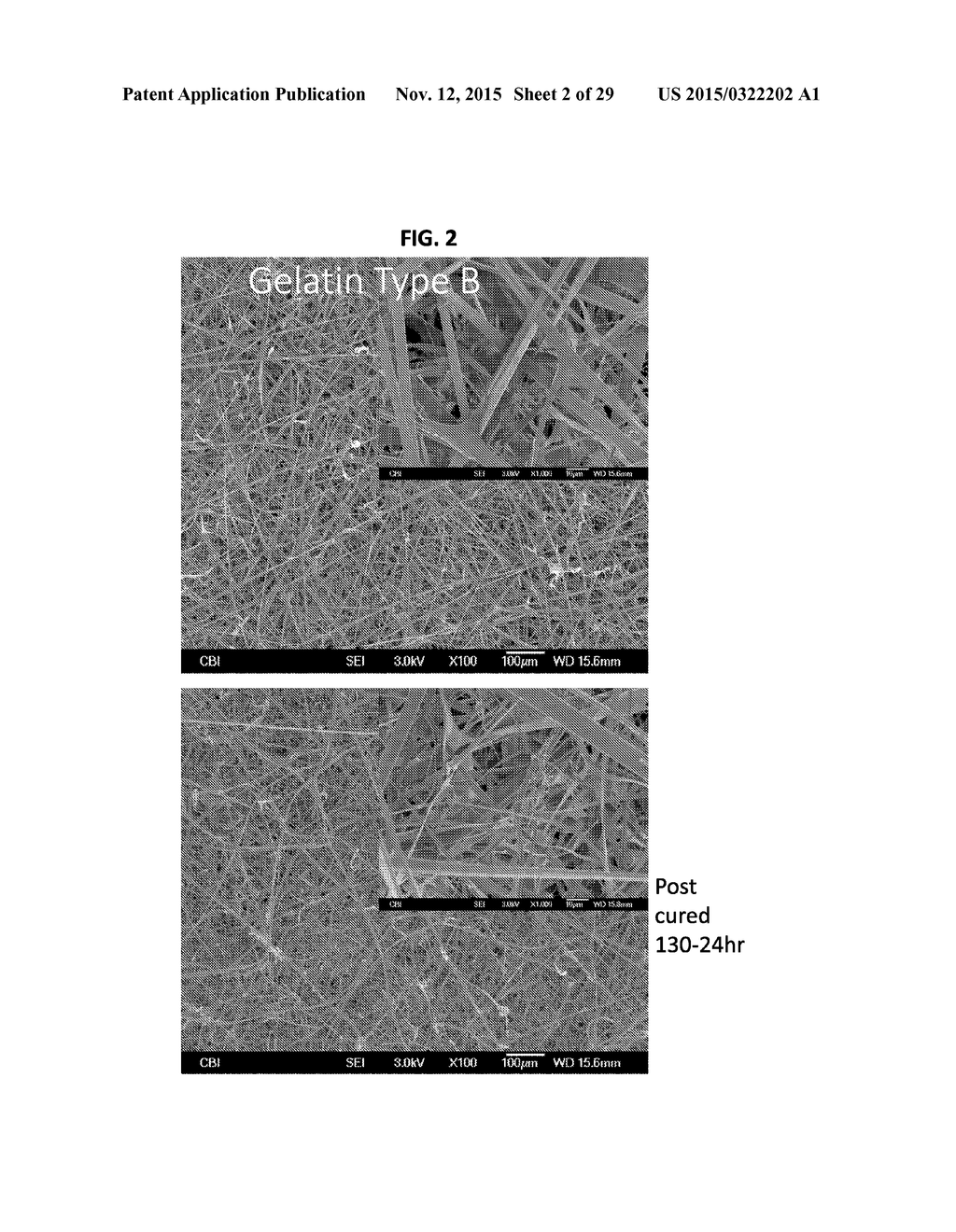 METHODS OF ELECTROSPINNING AND COMPOSITIONS MADE THEREFROM - diagram, schematic, and image 03