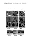 METHODS OF ELECTROSPINNING AND COMPOSITIONS MADE THEREFROM diagram and image