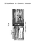 METHODS OF ELECTROSPINNING AND COMPOSITIONS MADE THEREFROM diagram and image