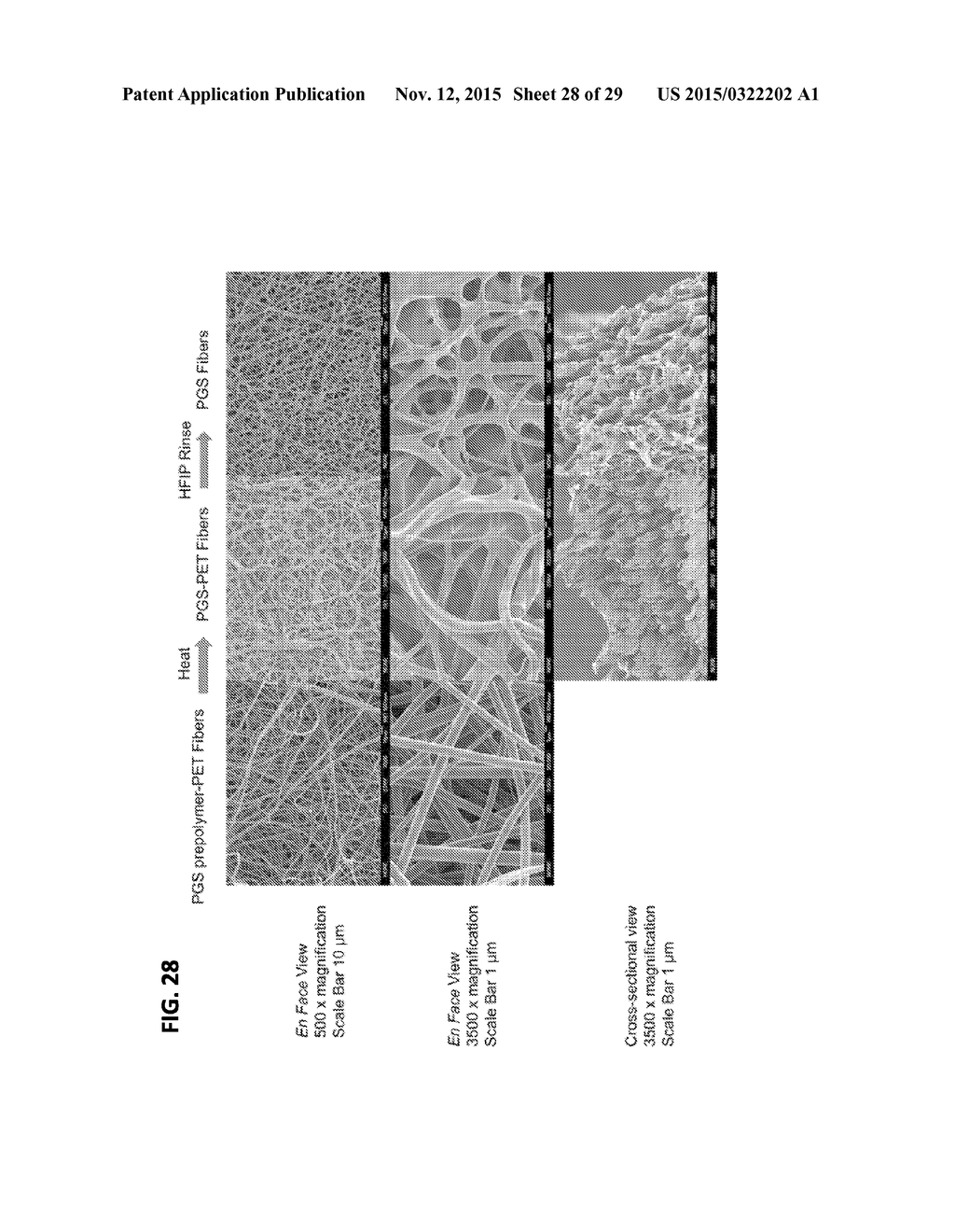 METHODS OF ELECTROSPINNING AND COMPOSITIONS MADE THEREFROM - diagram, schematic, and image 29