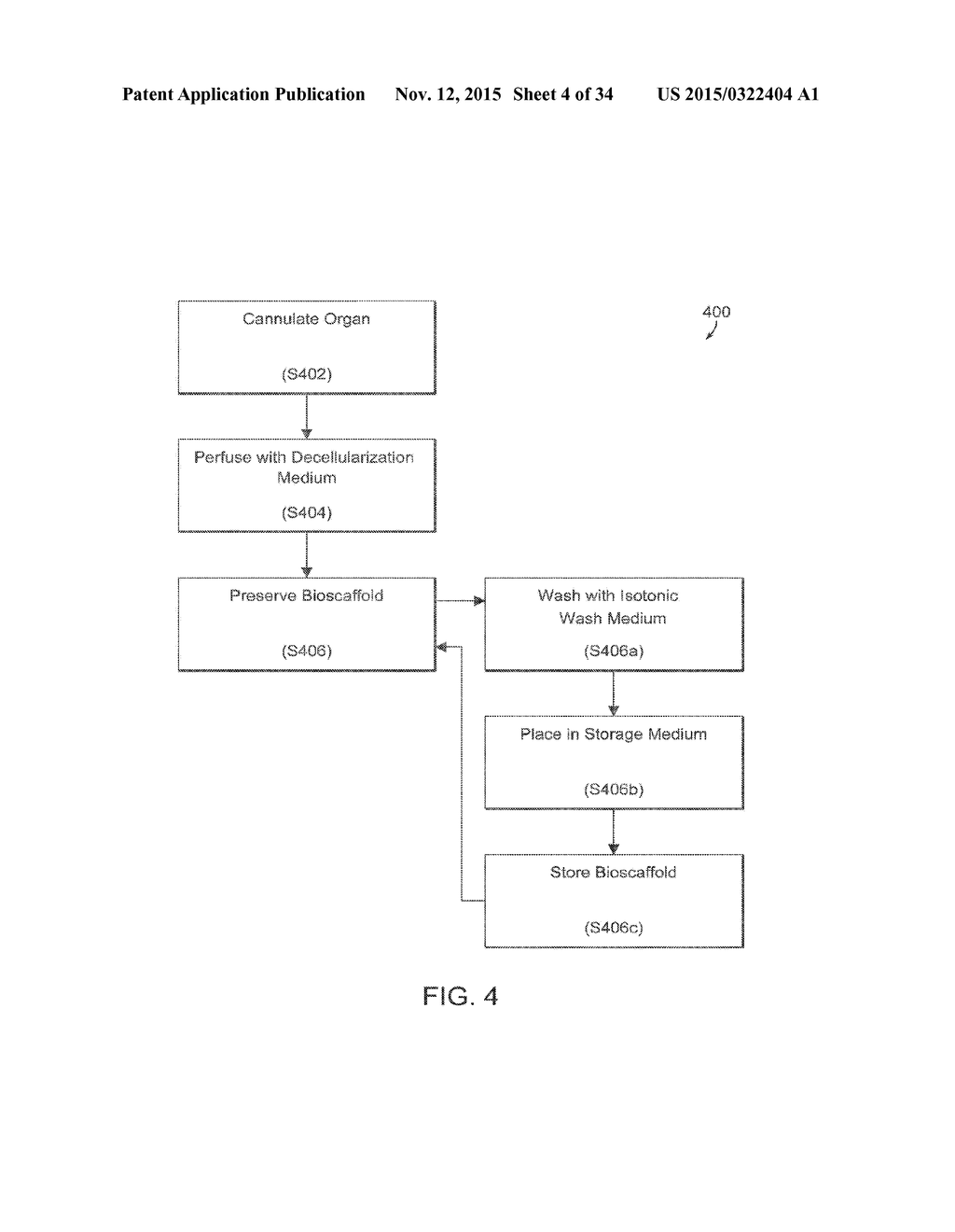 ISOLATED ADULT CELLS, ARTIFICIAL ORGANS, REHABILITATED ORGANS, RESEARCH     TOOLS, ORGAN ENCASEMENTS, ORGAN PERFUSION SYSTEMS, AND METHODS FOR     PREPARING AND UTILIZING THE SAME - diagram, schematic, and image 05