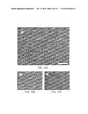 ISOLATED ADULT CELLS, ARTIFICIAL ORGANS, REHABILITATED ORGANS, RESEARCH     TOOLS, ORGAN ENCASEMENTS, ORGAN PERFUSION SYSTEMS, AND METHODS FOR     PREPARING AND UTILIZING THE SAME diagram and image