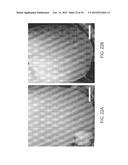 ISOLATED ADULT CELLS, ARTIFICIAL ORGANS, REHABILITATED ORGANS, RESEARCH     TOOLS, ORGAN ENCASEMENTS, ORGAN PERFUSION SYSTEMS, AND METHODS FOR     PREPARING AND UTILIZING THE SAME diagram and image