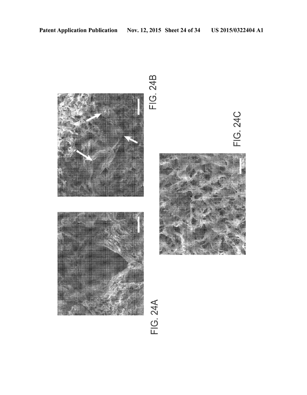 ISOLATED ADULT CELLS, ARTIFICIAL ORGANS, REHABILITATED ORGANS, RESEARCH     TOOLS, ORGAN ENCASEMENTS, ORGAN PERFUSION SYSTEMS, AND METHODS FOR     PREPARING AND UTILIZING THE SAME - diagram, schematic, and image 25