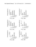 ISOLATED ADULT CELLS, ARTIFICIAL ORGANS, REHABILITATED ORGANS, RESEARCH     TOOLS, ORGAN ENCASEMENTS, ORGAN PERFUSION SYSTEMS, AND METHODS FOR     PREPARING AND UTILIZING THE SAME diagram and image