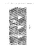 ISOLATED ADULT CELLS, ARTIFICIAL ORGANS, REHABILITATED ORGANS, RESEARCH     TOOLS, ORGAN ENCASEMENTS, ORGAN PERFUSION SYSTEMS, AND METHODS FOR     PREPARING AND UTILIZING THE SAME diagram and image