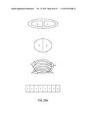 Micro Blood Vessels and Tissue Ducts diagram and image