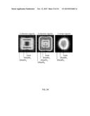 Micro Blood Vessels and Tissue Ducts diagram and image