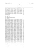 ACETYL TRANSFERASES AND THEIR USE FOR PRODUCING CAROTENOIDS diagram and image