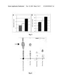 Oleaginous Bacterial Cells and Methods for Producing Lipids diagram and image