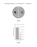 Oleaginous Bacterial Cells and Methods for Producing Lipids diagram and image