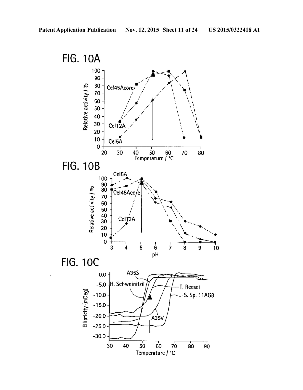 RECOMBINANT MESO-ACTIVE THERMO-STABLE PROTEIN AND PROCESSES OF DESIGN AND     BIOSYNTHESIS THEREOF - diagram, schematic, and image 12