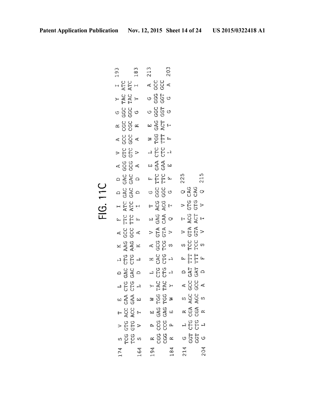 RECOMBINANT MESO-ACTIVE THERMO-STABLE PROTEIN AND PROCESSES OF DESIGN AND     BIOSYNTHESIS THEREOF - diagram, schematic, and image 15