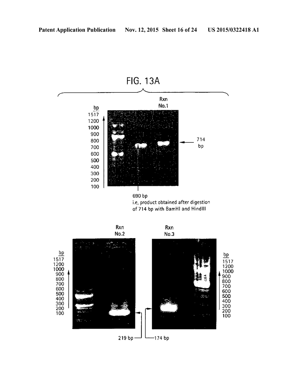 RECOMBINANT MESO-ACTIVE THERMO-STABLE PROTEIN AND PROCESSES OF DESIGN AND     BIOSYNTHESIS THEREOF - diagram, schematic, and image 17