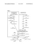 METHOD FOR REGULATING EXPRESSION OF SPECIFIC PROTEIN USING PHOTORESPONSIVE     TRANSCRIPTIONAL FACTOR, ISOPRENOID-PRODUCING PLANT HAVING GENE ENCODING     PHOTORESPONSIVE TRANSCRIPTIONAL FACTOR INTRODUCED THEREINTO, AND METHOD     FOR PRODUCING POLYISOPRENOID USING SAID ISOPRENOID-PRODUCING PLANT diagram and image