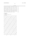 METHOD FOR REGULATING EXPRESSION OF SPECIFIC PROTEIN USING PHOTORESPONSIVE     TRANSCRIPTIONAL FACTOR, ISOPRENOID-PRODUCING PLANT HAVING GENE ENCODING     PHOTORESPONSIVE TRANSCRIPTIONAL FACTOR INTRODUCED THEREINTO, AND METHOD     FOR PRODUCING POLYISOPRENOID USING SAID ISOPRENOID-PRODUCING PLANT diagram and image