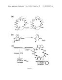 IN VITRO PRODUCTION OF CYCLIC PEPTIDES diagram and image