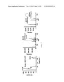 IN VITRO PRODUCTION OF CYCLIC PEPTIDES diagram and image