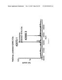 IN VITRO PRODUCTION OF CYCLIC PEPTIDES diagram and image