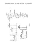 IN VITRO PRODUCTION OF CYCLIC PEPTIDES diagram and image