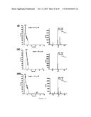 IN VITRO PRODUCTION OF CYCLIC PEPTIDES diagram and image