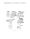 IN VITRO PRODUCTION OF CYCLIC PEPTIDES diagram and image