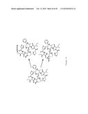 IN VITRO PRODUCTION OF CYCLIC PEPTIDES diagram and image