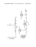 IN VITRO PRODUCTION OF CYCLIC PEPTIDES diagram and image