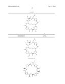 IN VITRO PRODUCTION OF CYCLIC PEPTIDES diagram and image