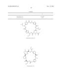 IN VITRO PRODUCTION OF CYCLIC PEPTIDES diagram and image