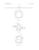 IN VITRO PRODUCTION OF CYCLIC PEPTIDES diagram and image