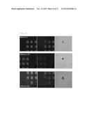 METHOD OF ISOLATING BIOCHEMICAL MOLECULES ON MICROARRAY SUBSTRATE diagram and image