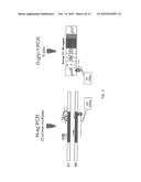 RAPID SALMONELLA SEROTYPING ASSAY diagram and image