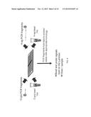 RAPID SALMONELLA SEROTYPING ASSAY diagram and image