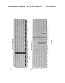 RAPID SALMONELLA SEROTYPING ASSAY diagram and image