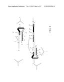 SEQUENCE AMPLIFICATION WITH LOOPABLE PRIMERS diagram and image